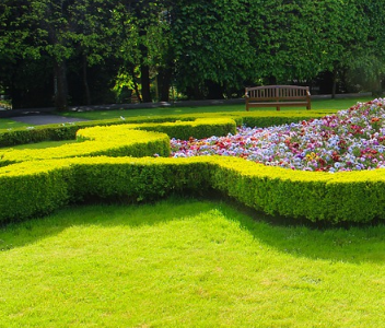 rosenduenger_